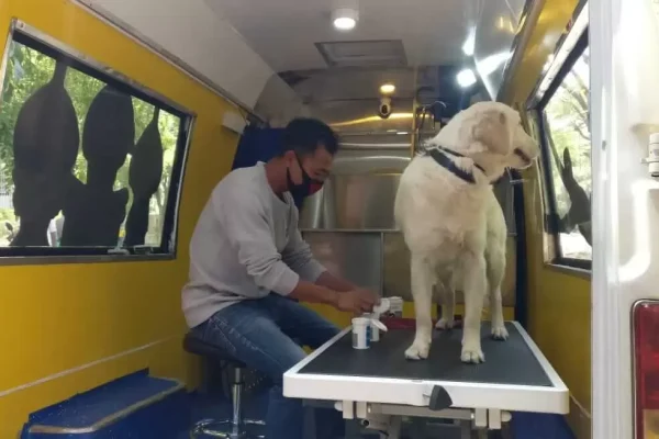 WhatsApp-Image-2021-06-05-at-10.50.02-AM