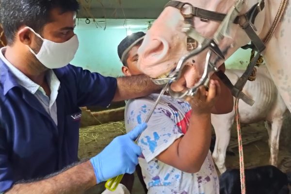 WhatsApp Image 2024-04-18 at 18.17.38_020ae5a2