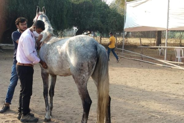 WhatsApp Image 2024-04-18 at 18.19.17_e93643c3